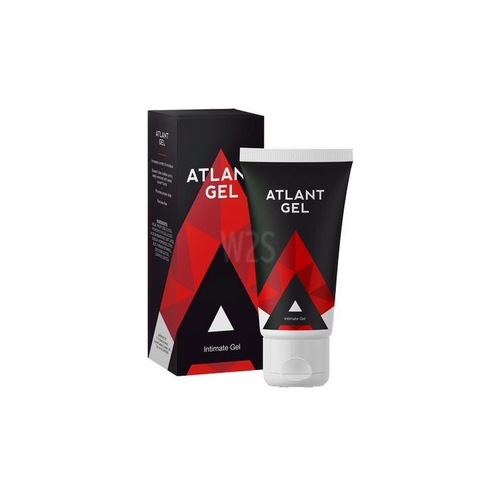 Atlant Gel | Boy Mare'de