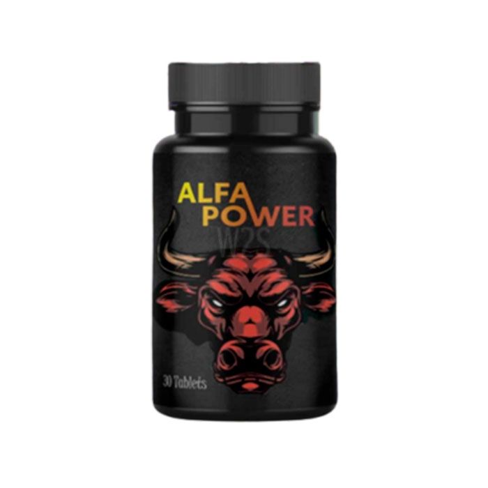 Alfa Power | in Boy Mare