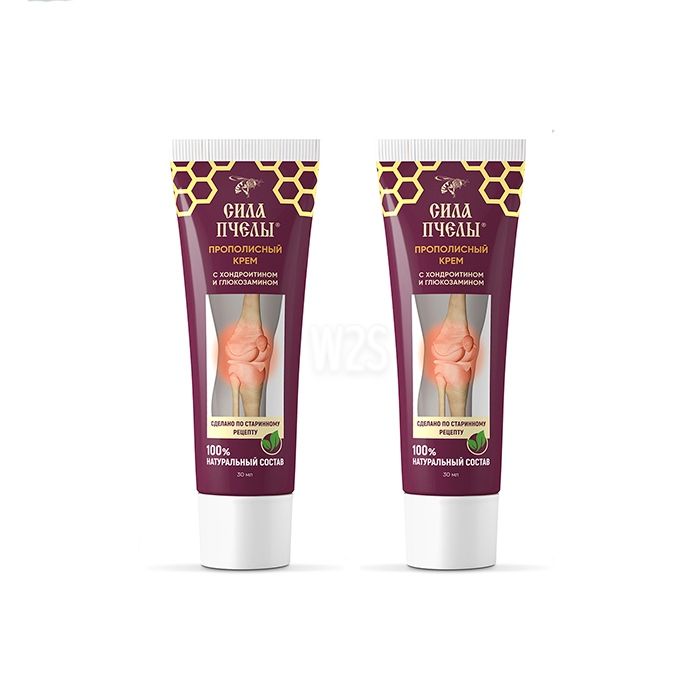 Bee Power Cream | Tkibulidə