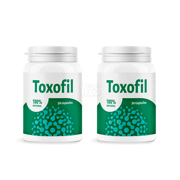 Toxofil | 在加的斯