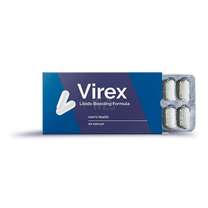 Virex | 在圣塞瓦斯蒂安