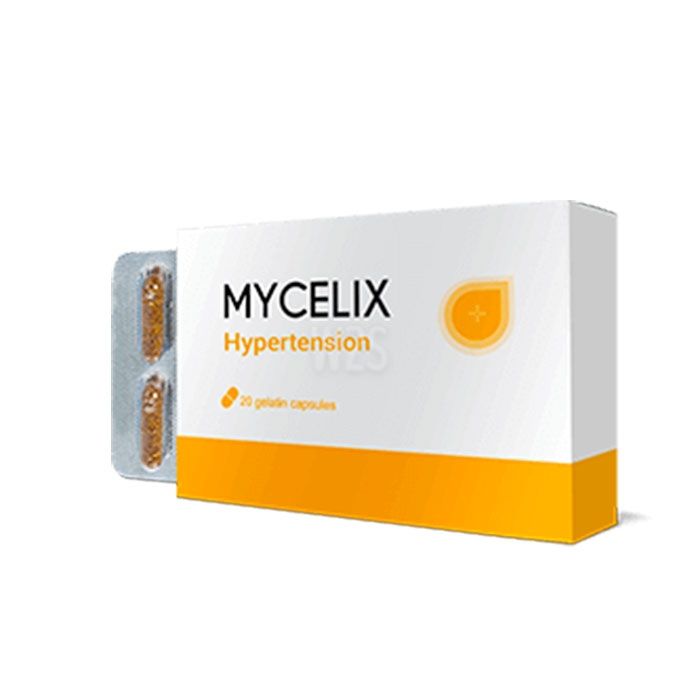 Mycelix | в Хайльбронн